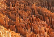 Bryce Canyon National Park |The Magic of the Hoodoos