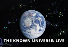 Discover the American Museum of Natural History!