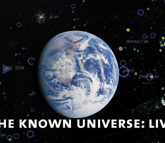 Discover the American Museum of Natural History!