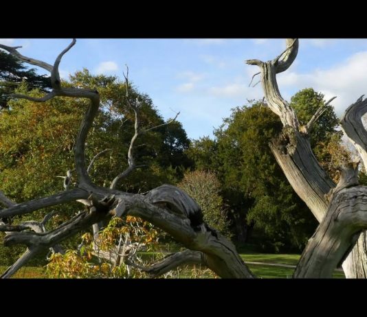 Blarney Castle and Gardens