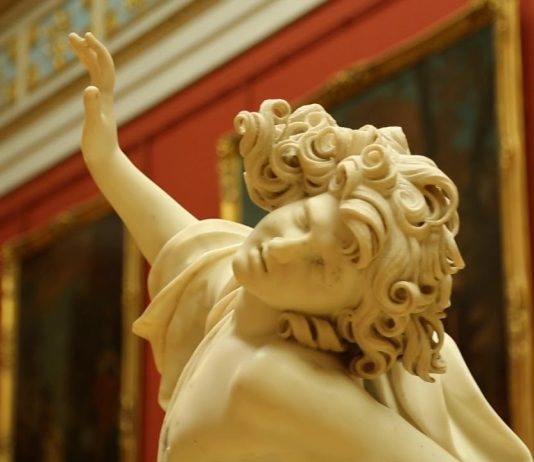 The State Hermitage Museum
