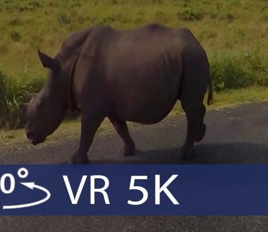 Kruger National Park – South African Safari