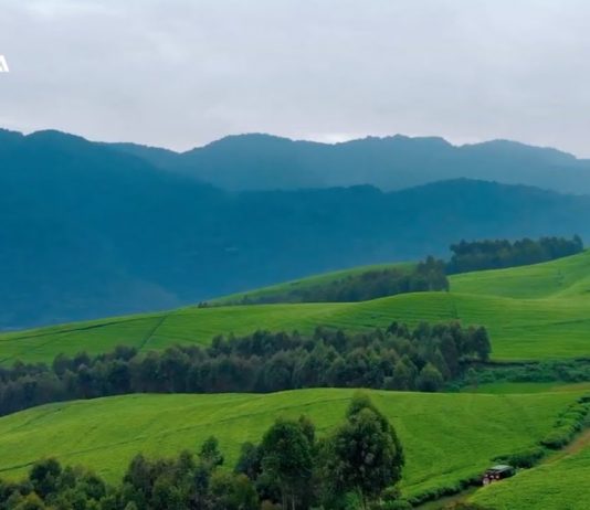 Visit Rwanda – Discover the Land of a Thousand Hills