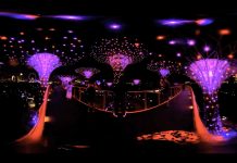 Cool domes | Splendid Supertrees | Singapore