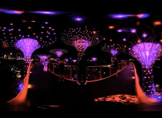 Cool domes | Splendid Supertrees | Singapore