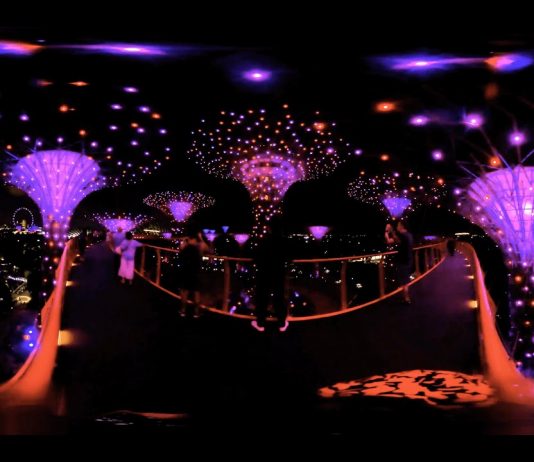 Cool domes | Splendid Supertrees | Singapore