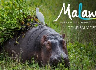 Welcome to Malawi!
