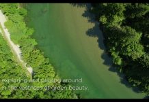 Kočevsko – The Secret Forest of Slovenia