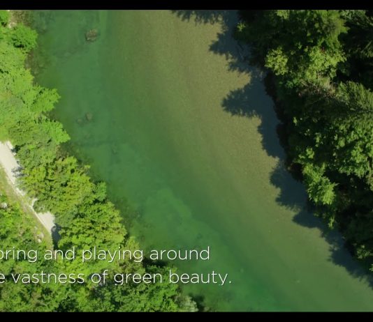 Kočevsko – The Secret Forest of Slovenia