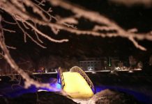 The Greenery of Pärnu, Estonia.