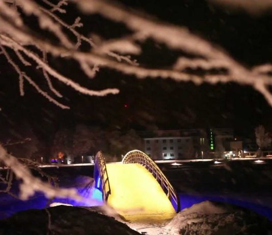 The Greenery of Pärnu, Estonia.