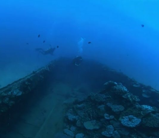 Welcome to Seychelles