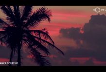 The astonishing beauty of Sri Lanka