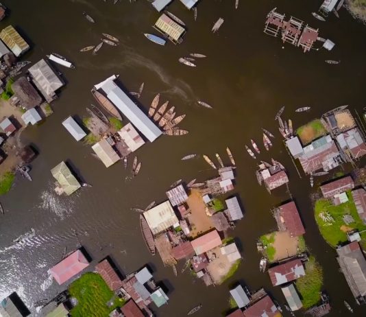 Benin is natural medicine.