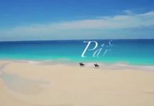 Visit Antigua and Barbuda – The beach is just the beginning…