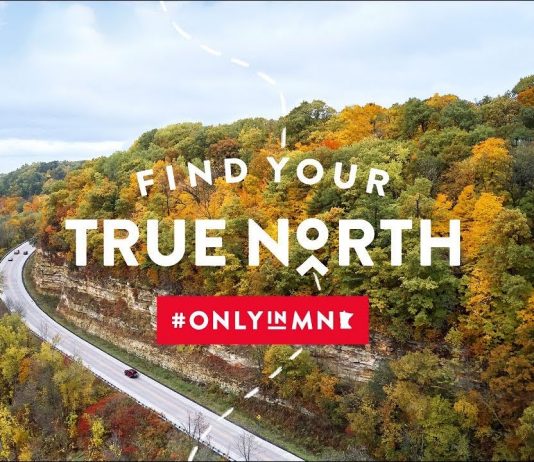 Find Your True North (Connecting with Nature)
