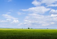 Slavonia – Echoes of Tradition | Visit Croatia.