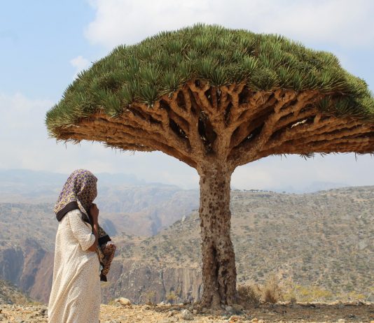 Socotra Archipelago World Heritage marine site