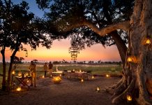 Botswana – the hidden gem