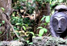 Welcome to the Island of Bioko in Equatorial Guinea!