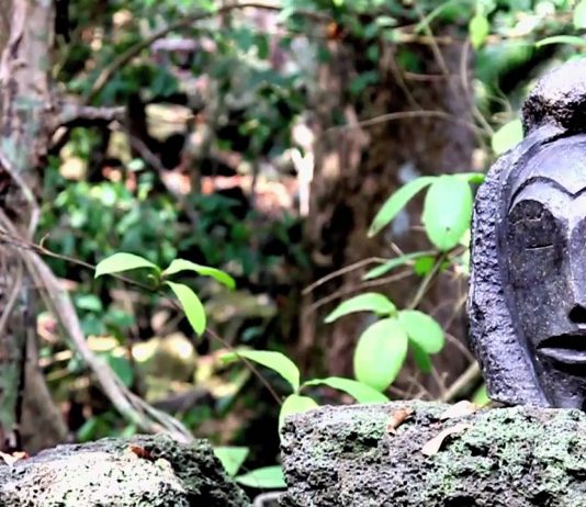 Welcome to the Island of Bioko in Equatorial Guinea!