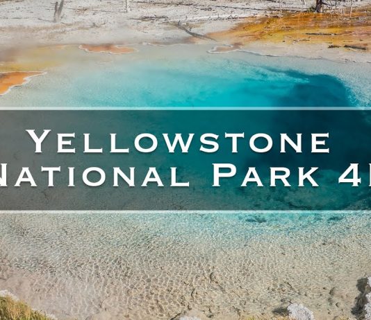 Yellowstone National Park