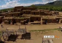 Summer in Forest Park!