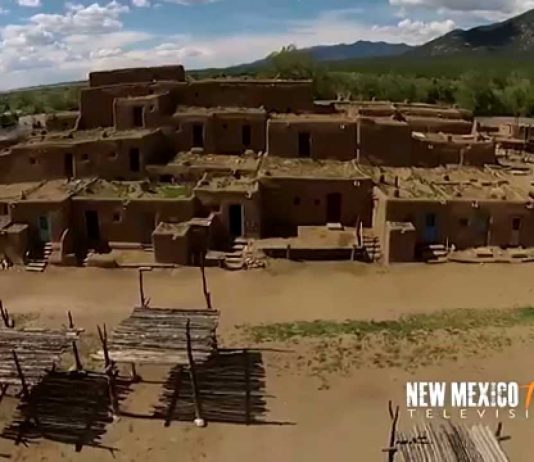 Summer in Forest Park!