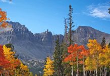 Welcome to Nevada – The Weirdest, Wildest West