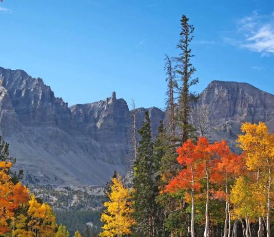 Welcome to Nevada – The Weirdest, Wildest West