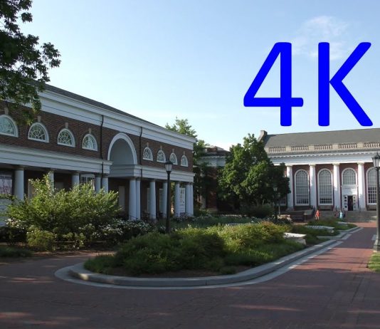 For All of Us at University of Virginia