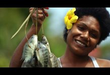 Fiji 360 Degree Virtual Reality Experiences