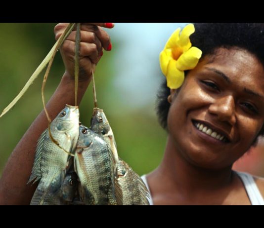 Fiji 360 Degree Virtual Reality Experiences