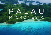 Why Micronesia?