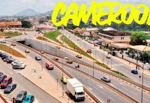 Introducing Mount Cameroon National Park, Cameroon