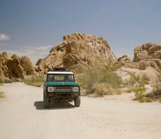 Virtually Experience Joshua Tree National Park
