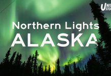 Alaska the Beautiful