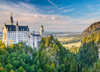 The Summers – Germany is waiting!