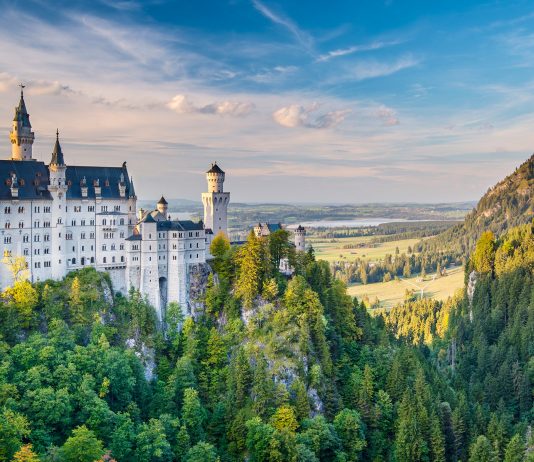 The Summers – Germany is waiting!