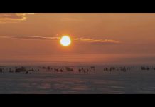 Lithuania. Real is beautiful.